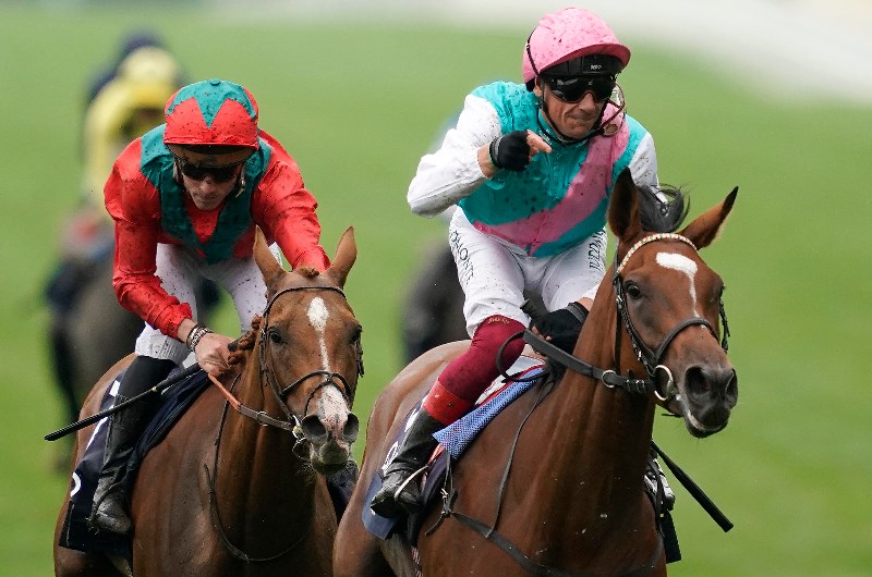 enable ascot