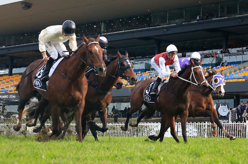 rosehill tips