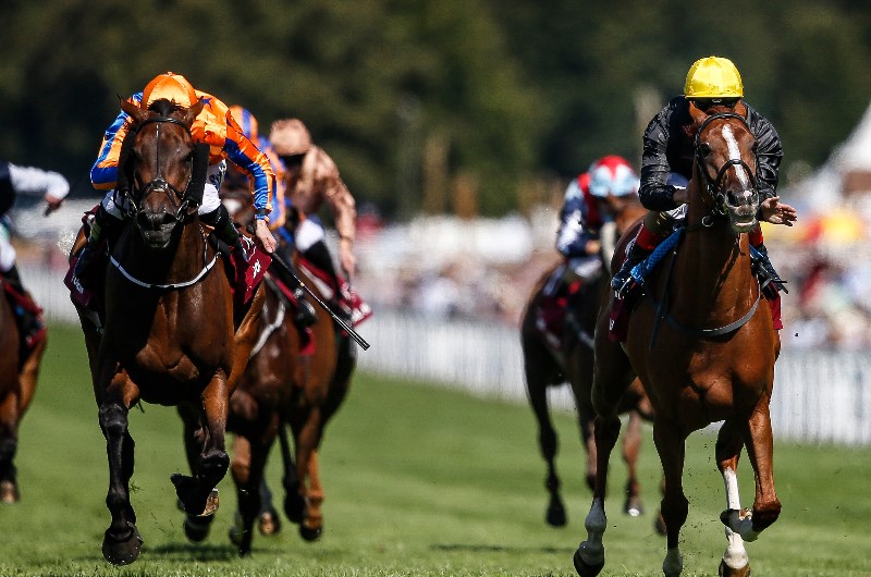 stradivarius goodwood