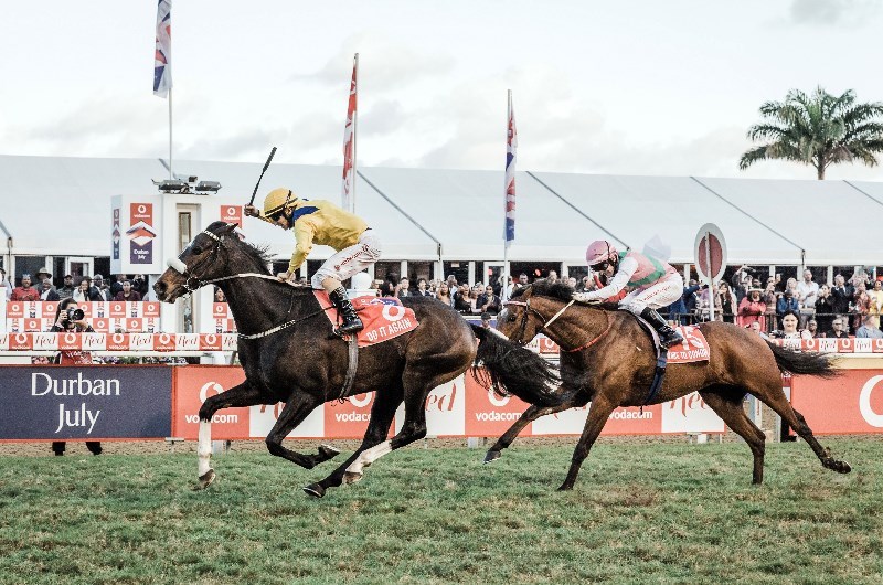 Do It Again horse