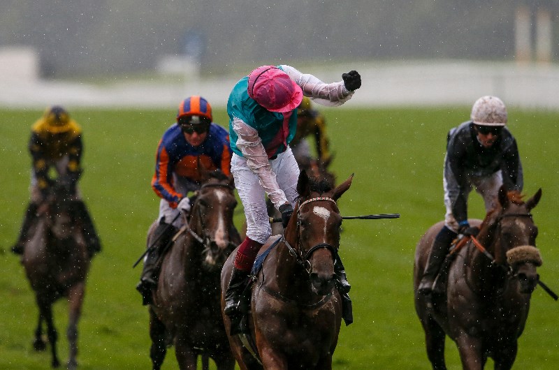 enable ascot