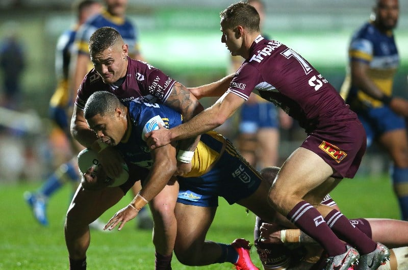 manly sea eagles