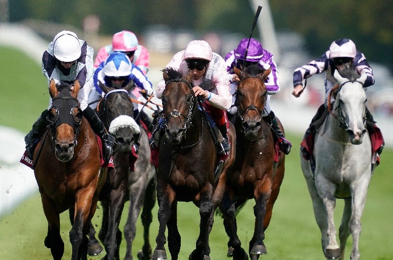 sussex stakes goodwood too darn hot