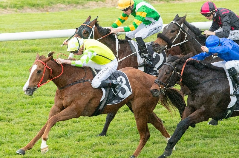 Big Bets Results from 25.07.2020