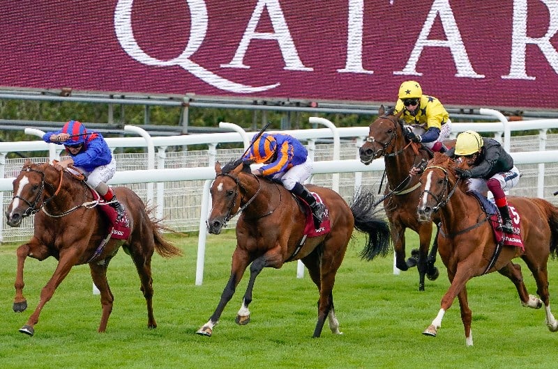 goodwood