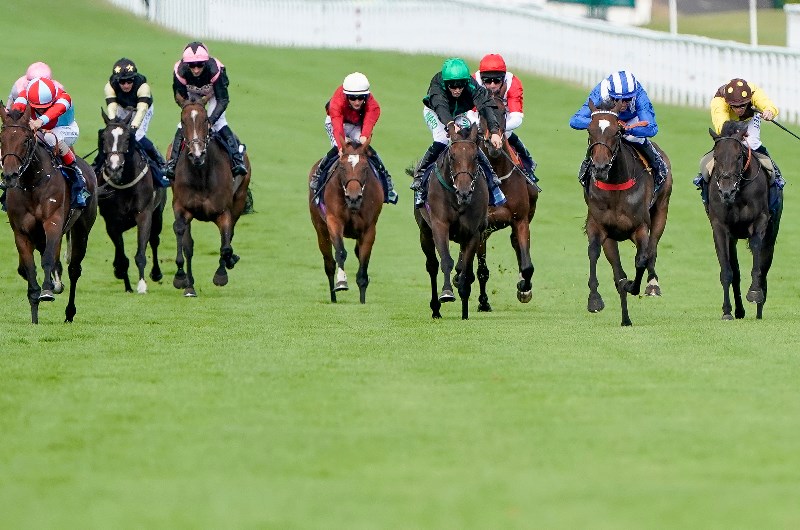GOODWOOD