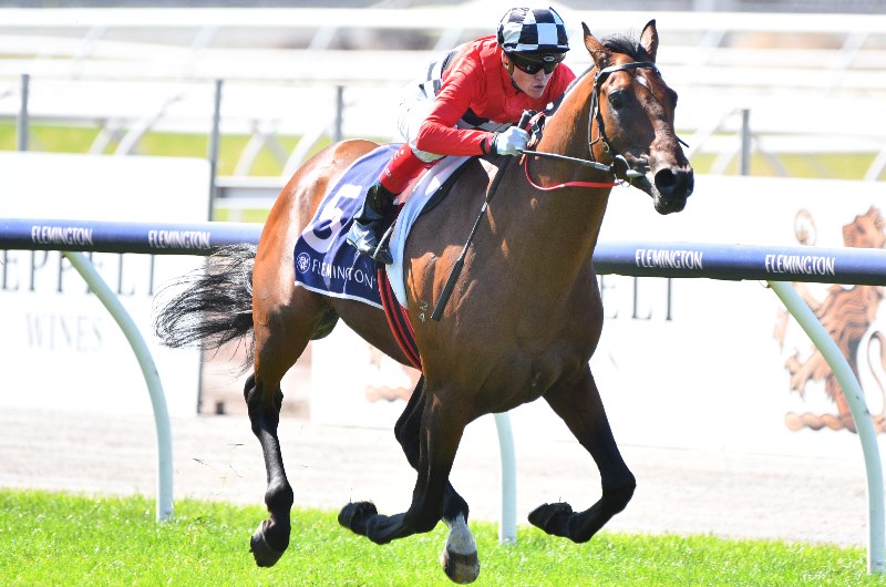 Pike Melbourne Cup Ride - news