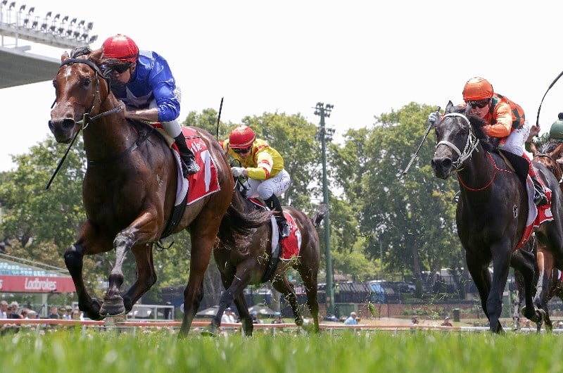 moonee valley tips