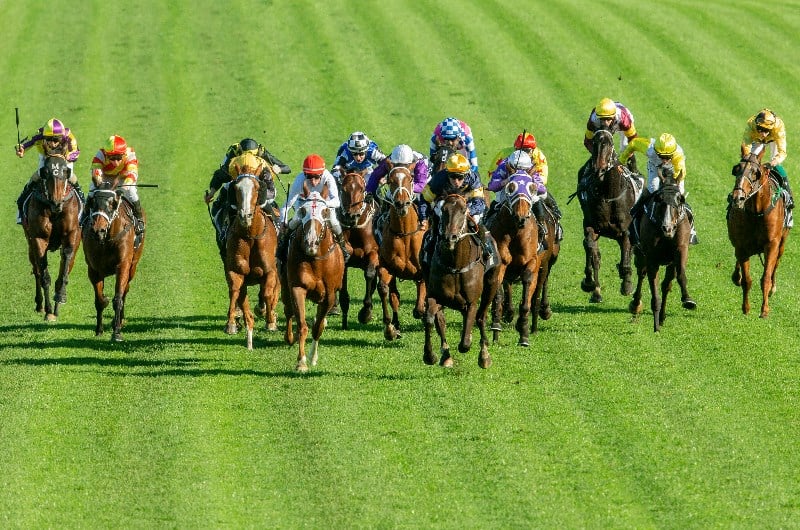 randwick tips
