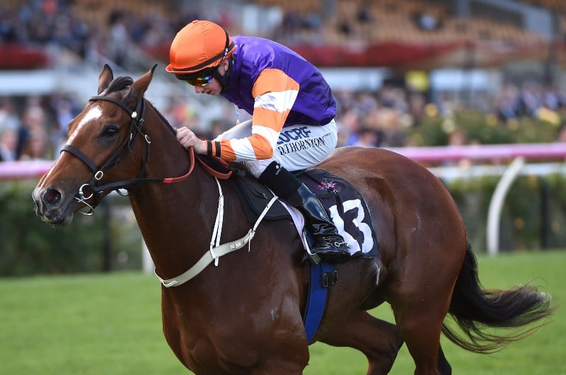 damien thornton megabet