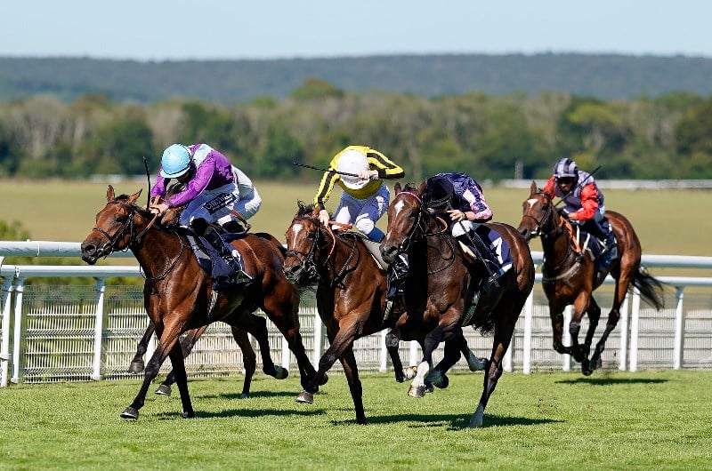 goodwood