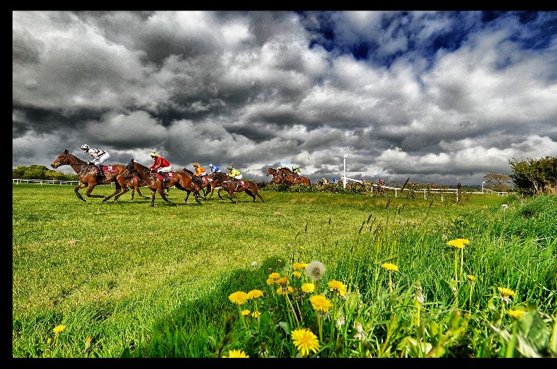galway races