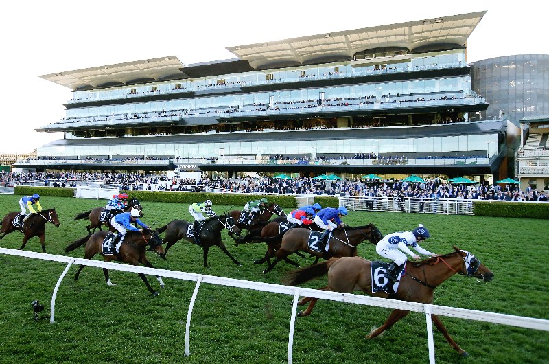 Winx Stakes Tips
