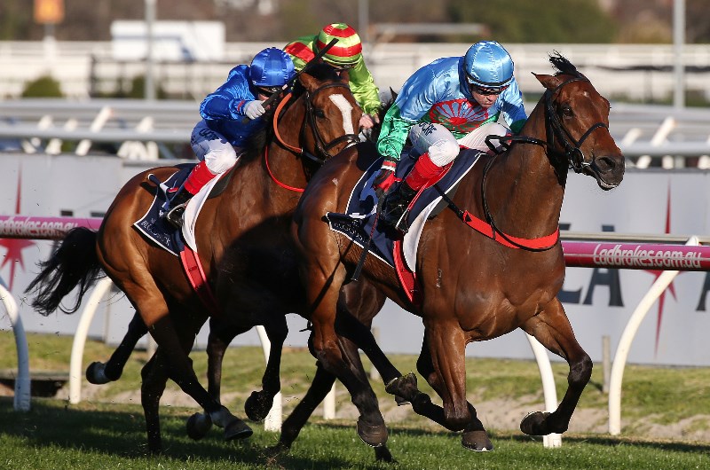 Memsie Stakes Tips