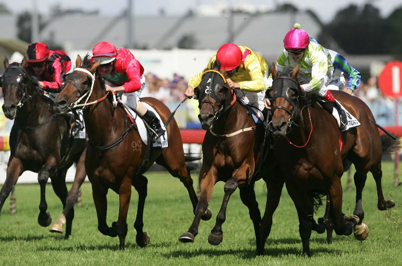 Coffs Harbour Tips