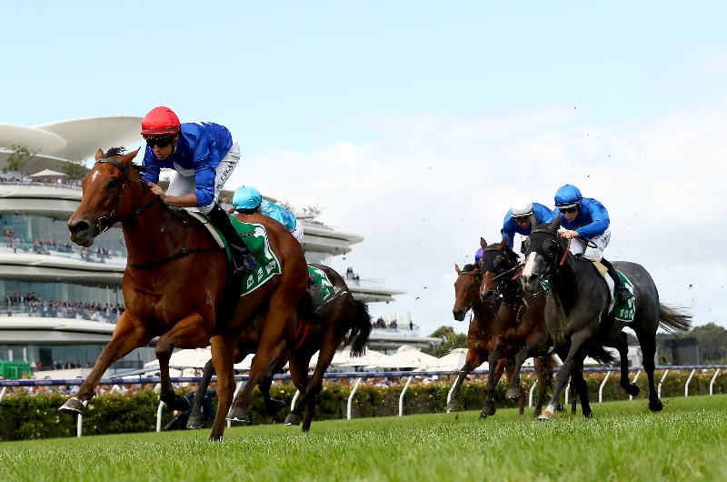 Weekend Racing Multi