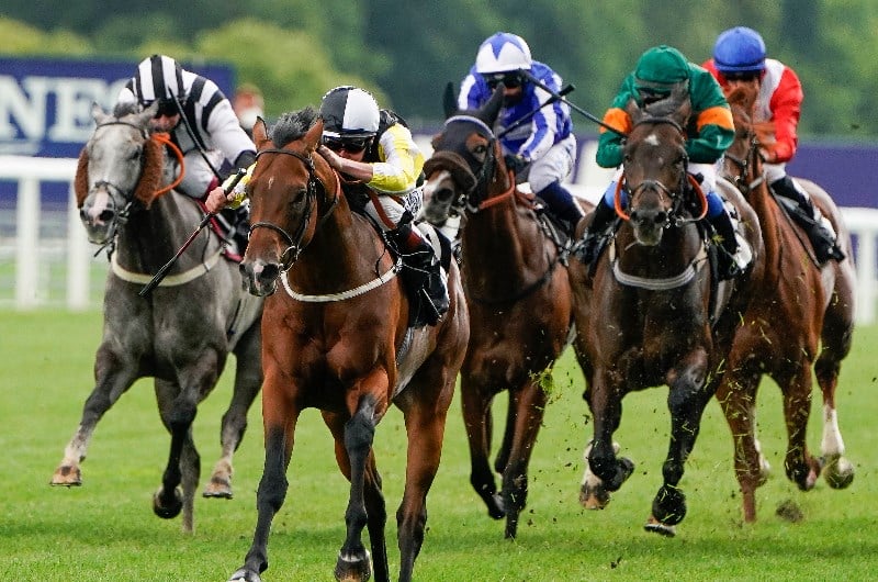 ascot