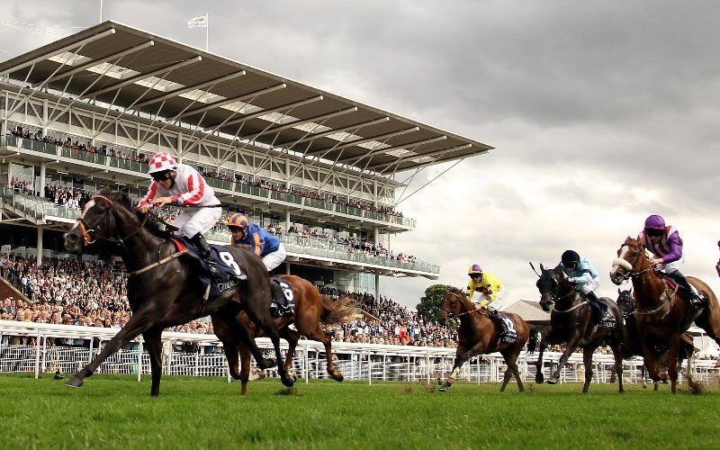 2023-ebor-festival-betting-tips-best-bookmakers-free-bets