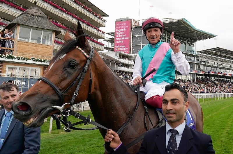 enable yorkshire oaks