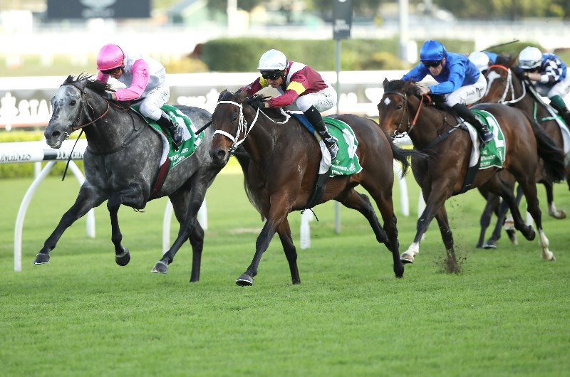 gosford tips