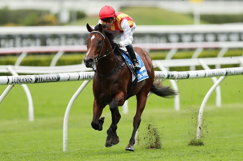 Golden Rose 2020 Tips