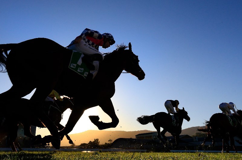 Newcastle tips for 07.07.2020