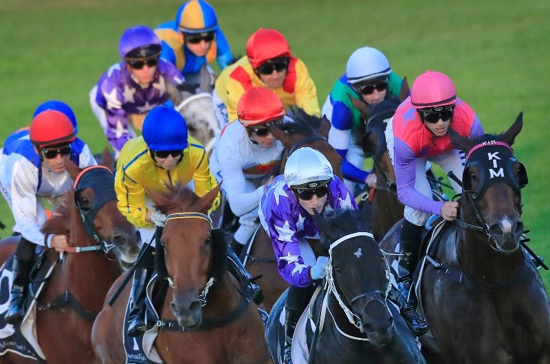 muswellbrook racecourse static