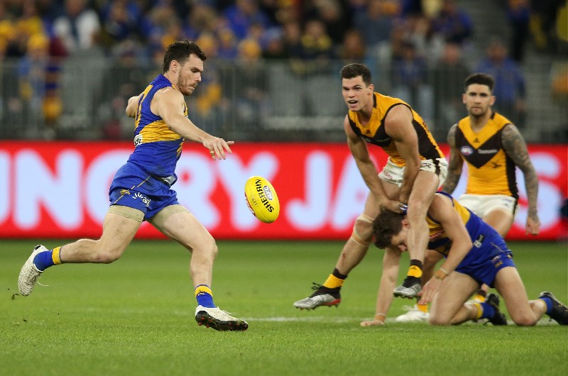 west coast hawthorn tips