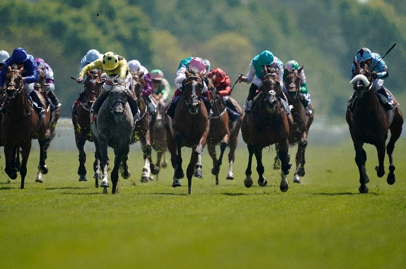 york ebor