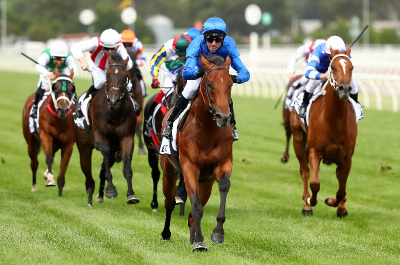 bivouac wins Hawkesbury trial