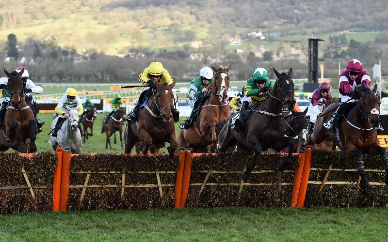 CR Champion Hurdle Cheltenham 2317 