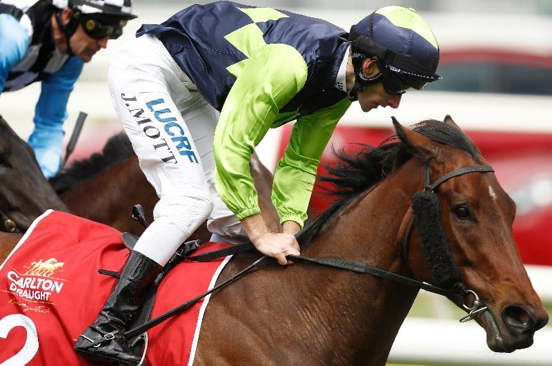 jamie mott megabet