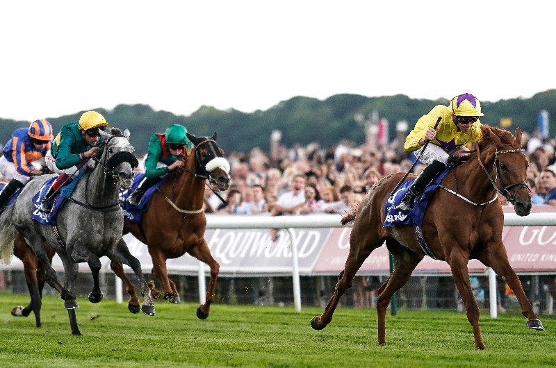 yorkshire oaks