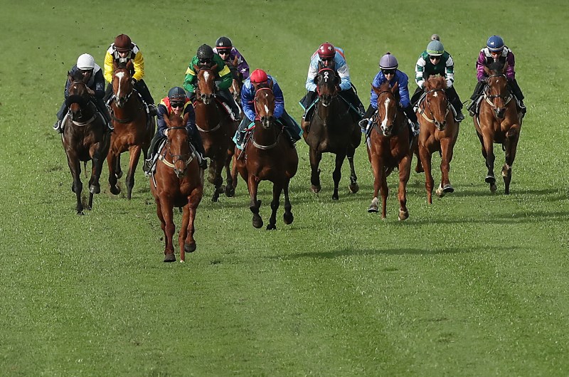nature strip impresses in 2nd trial - news