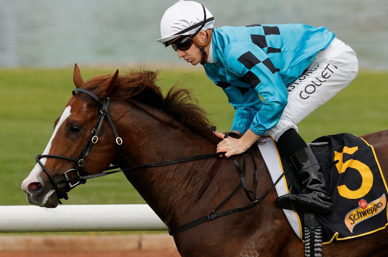 Jason Collett Canterbury Megabet