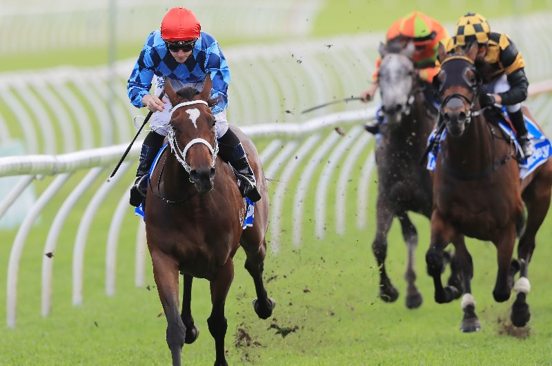 Winx Stakes 2020 Barrier draw