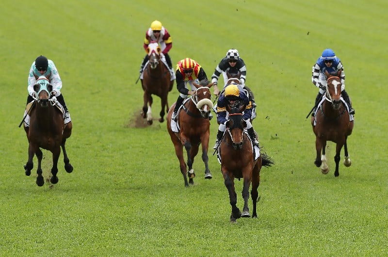 Winx Stakes runner-by-runner guide