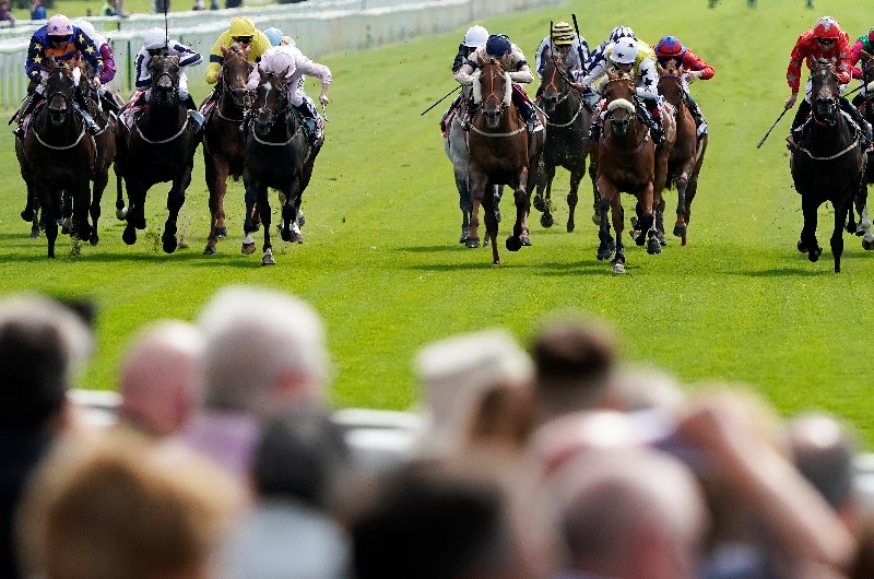 York races august