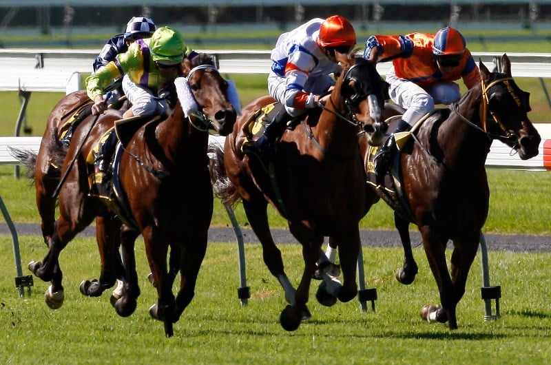 Morphettville tips