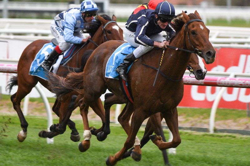 brad rawiller megabet