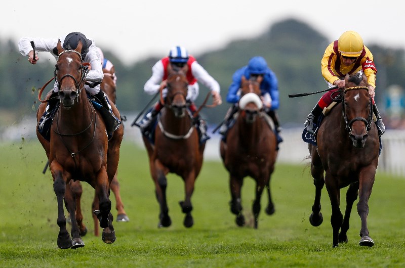 nunthorpe stakes
