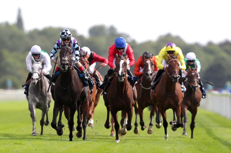 york races
