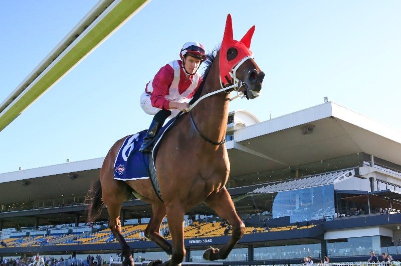 Arcadia Queen set for her Everest challenge Arcadia Queen set for her Everest challenge