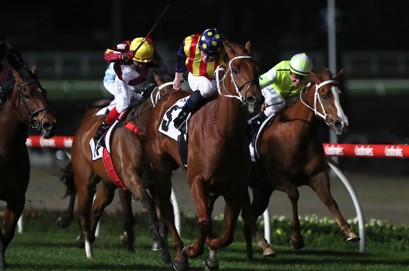 Moir Stakes Tips