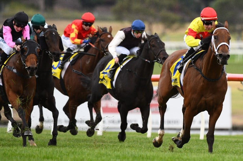 Sandown Tips