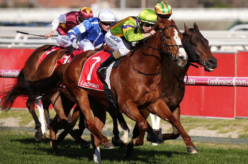 Bet365 Us Racing Bet365 Us Racing