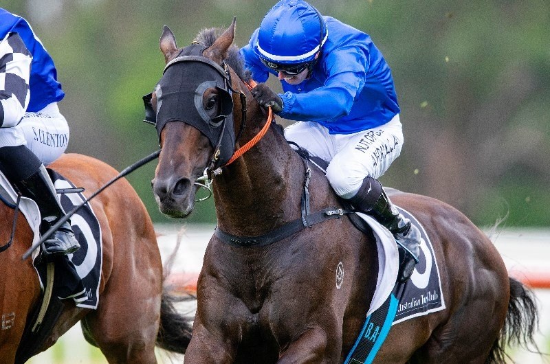 brenton avdulla megabet