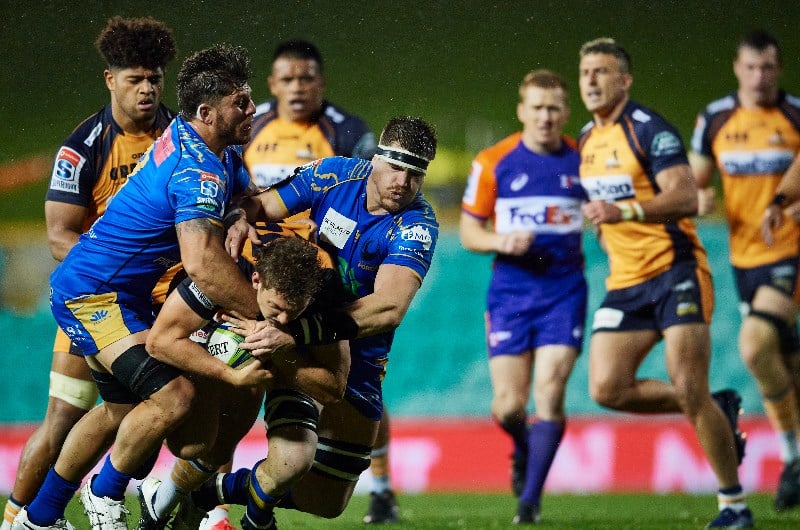 brumbies