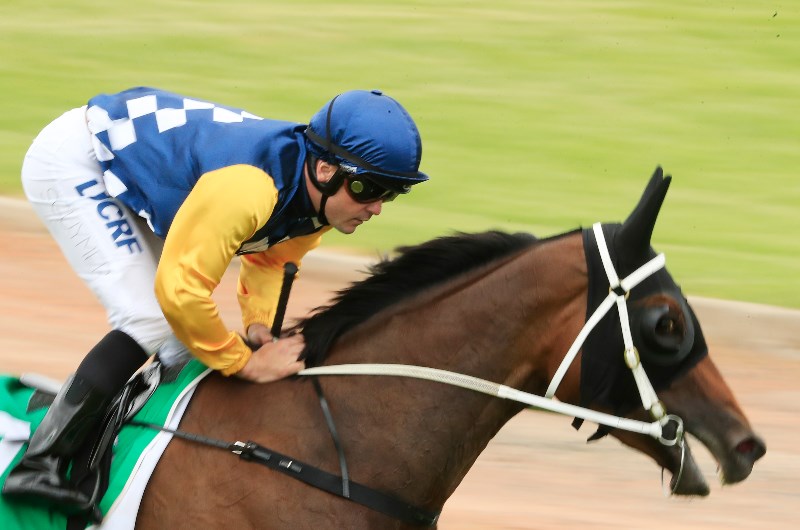 Shaun Guymer Megabet