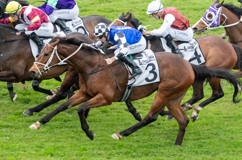 Big Bets for 29.08.2020